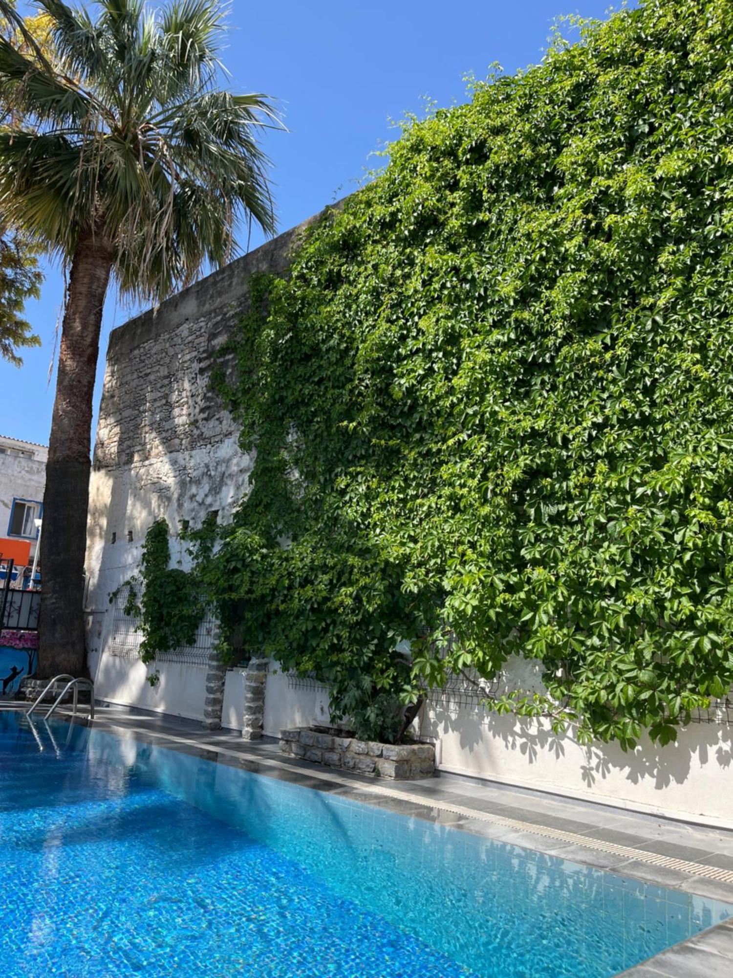 Kilavuz Otel Бодрум Экстерьер фото